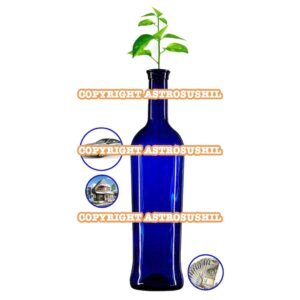 Dhan Prapti Wallpaper